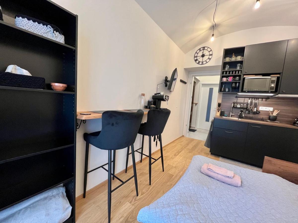 Apartament V Prizemi S Kuchyni A Koupelnou Praga